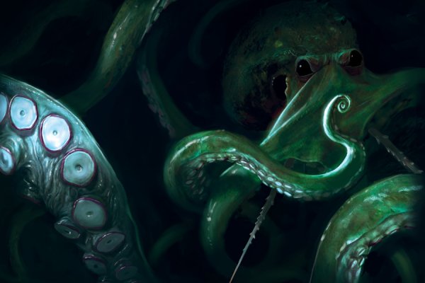 Kraken как найти ссылку